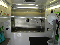 Inside our mobile grooming van